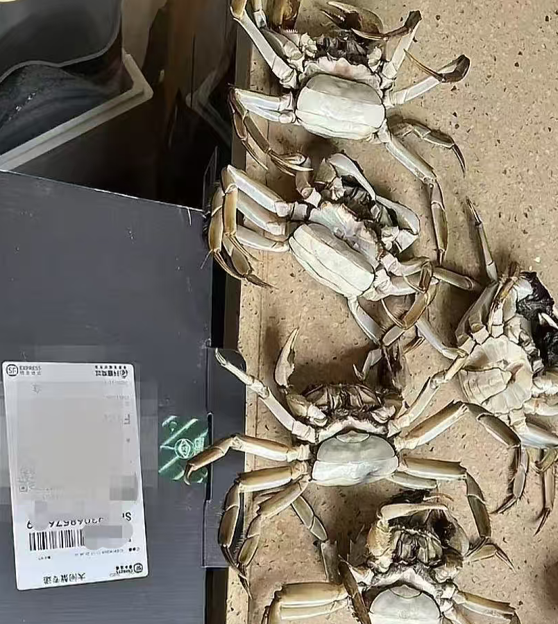 全国首例！有人用AI假图仅退款，被拘8天