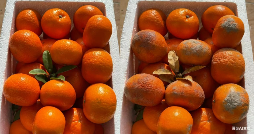 全国首例！有人用AI假图仅退款，被拘8天